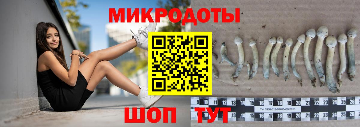 Псилоцибиновые грибы Psilocybine cubensis Чебоксары